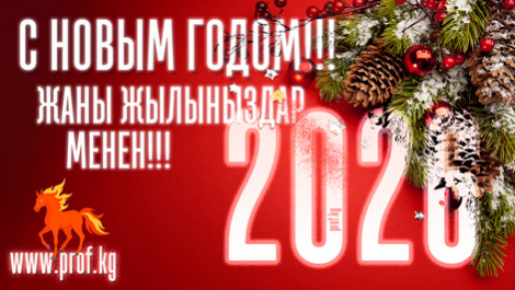 С Новым 2026 годом!